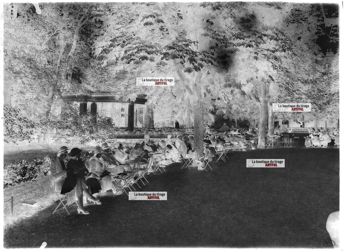 Plaque verre photo ancienne négatif noir et blanc 13x18 cm Vittel grande source