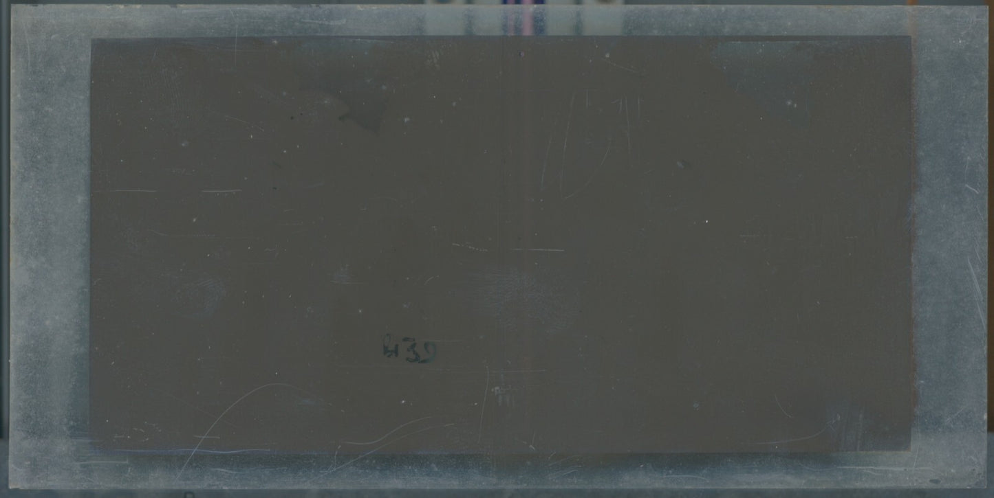 Scène de vie, Longchamp, Paris, plaque verre stéréoscopique, positif 8,5x17 cm