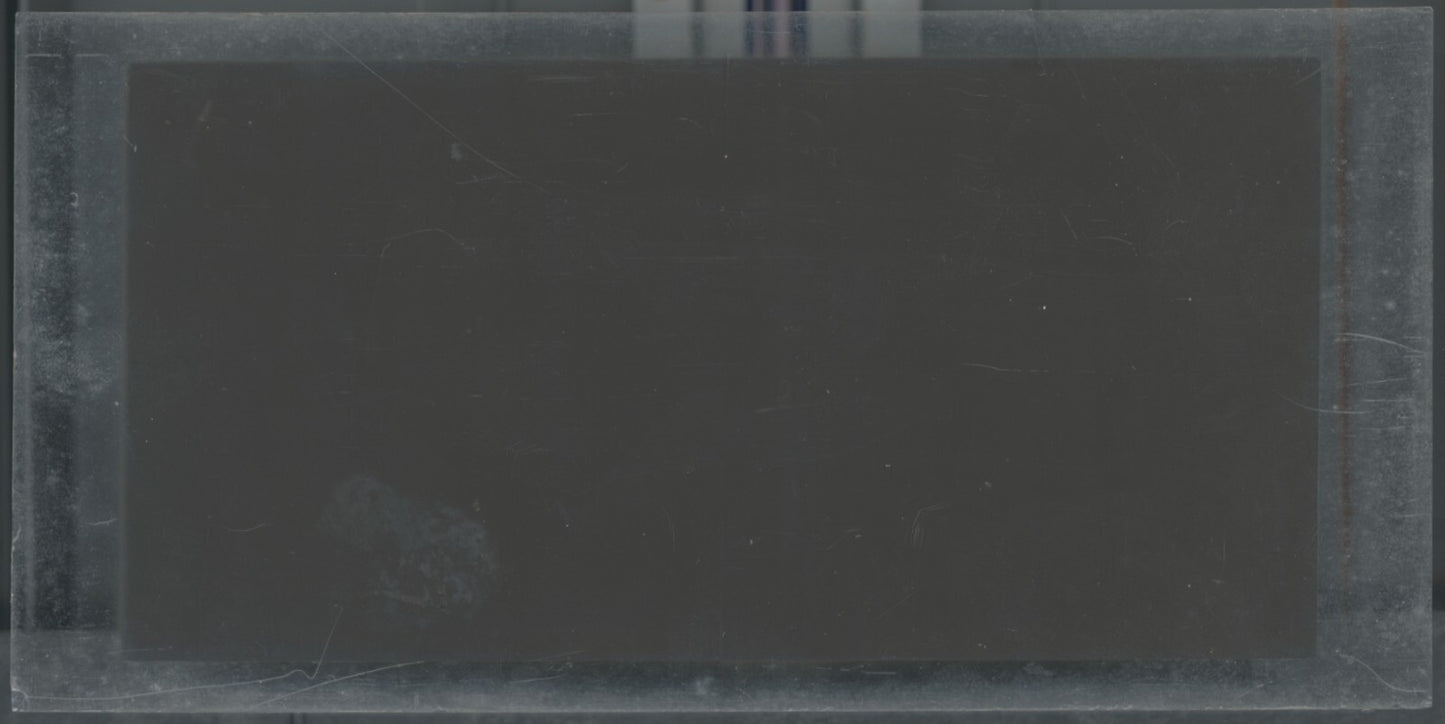 Hippodrome de Longchamp, Paris, plaque verre stéréoscopique, positif 8,5x17 cm