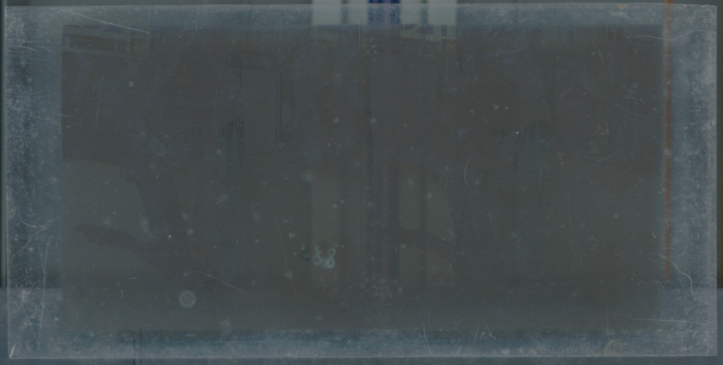 Hippodrome de Longchamp, Paris, stéréoscopie plaque verre, positif 8,5x17 cm