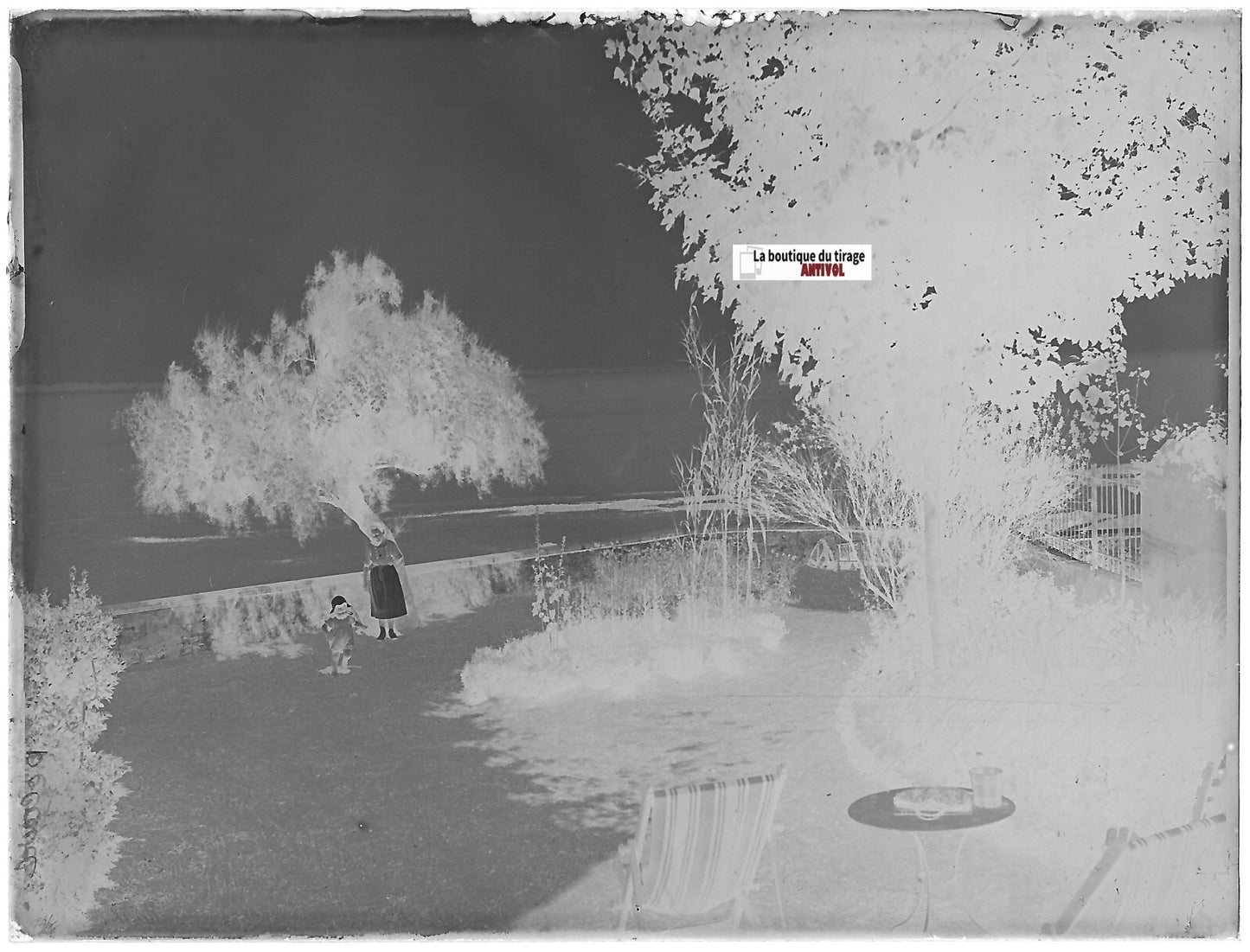 Jardin, mer, océan, Plaque verre photo ancienne, négatif noir & blanc 9x12 cm