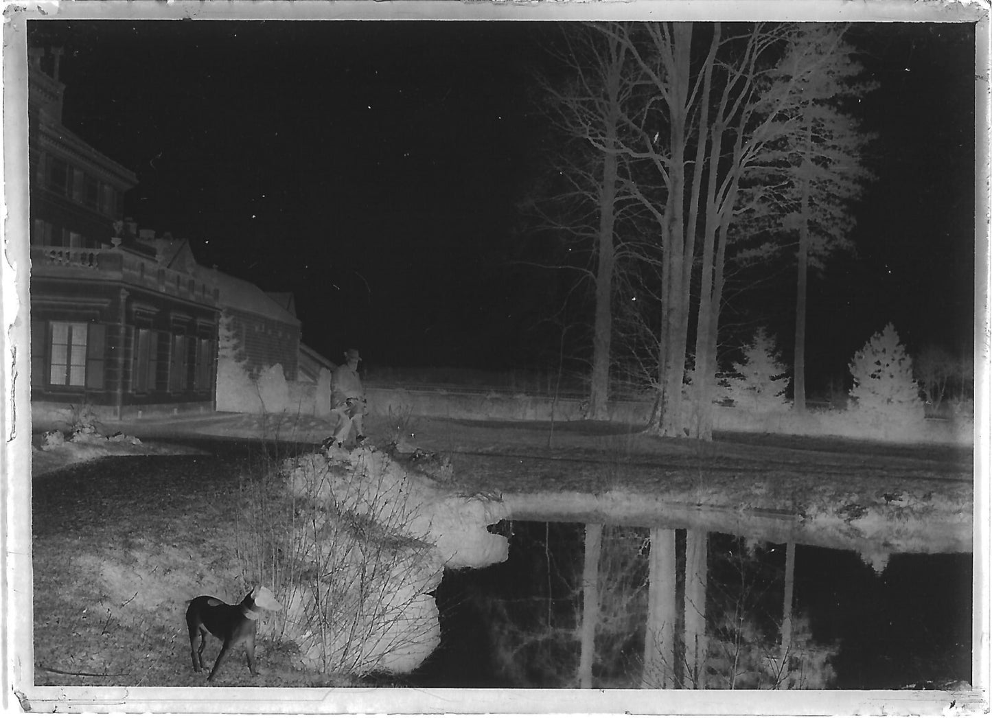 Plaque verre photo ancienne négatif noir et blanc 6x9 cm homme chien château