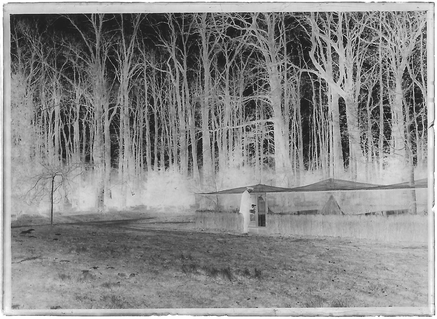 Plaque verre photo négatif noir et blanc 6x9 cm élevage chasse gibier Homme