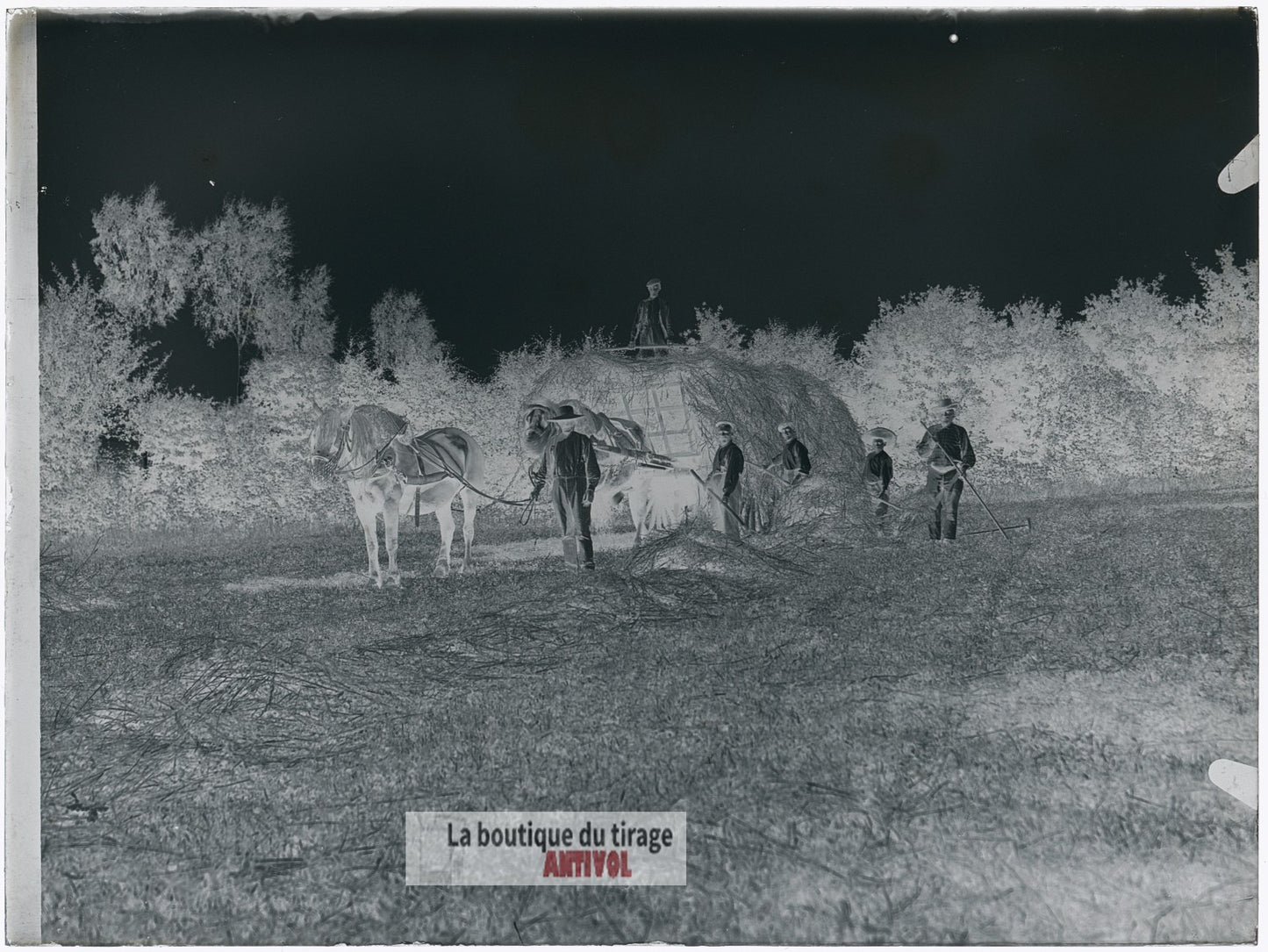 Scène de campagne française, plaque verre, photo ancienne, négatif 9x12 cm