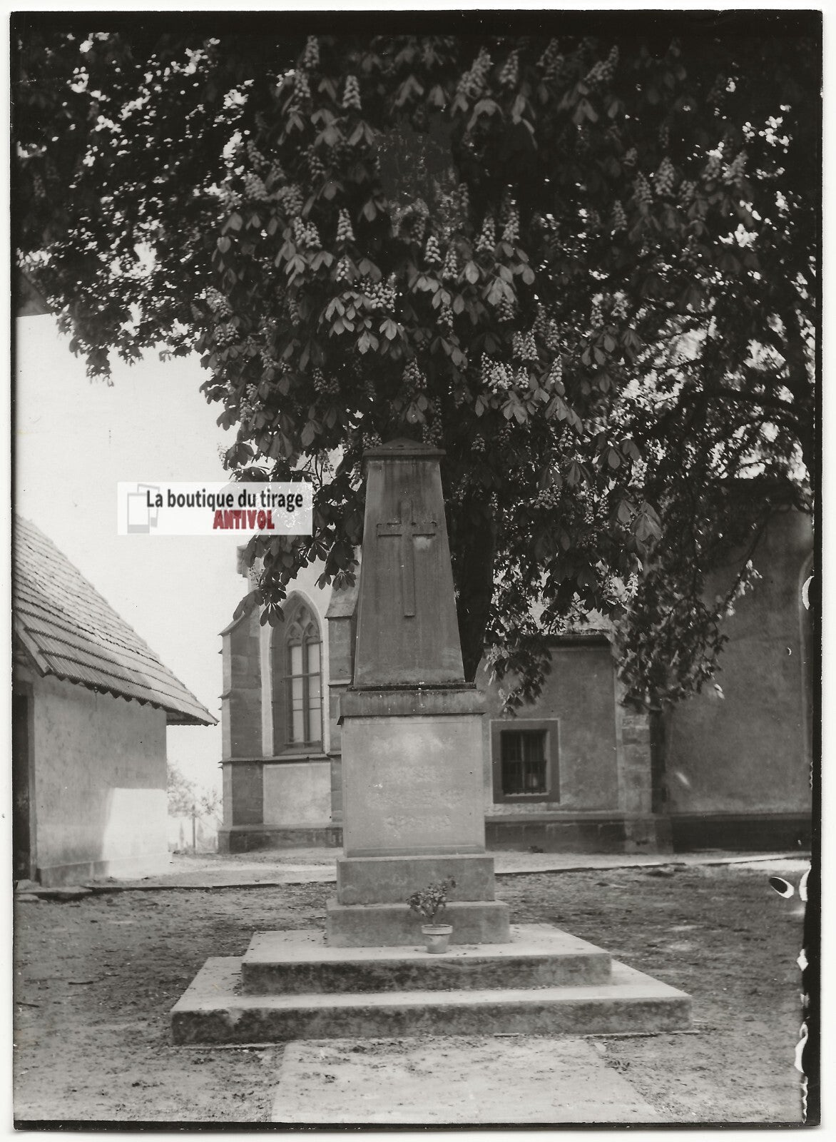 Plaque verre photo ancienne négatif noir et blanc 13x18 cm Alsace monument