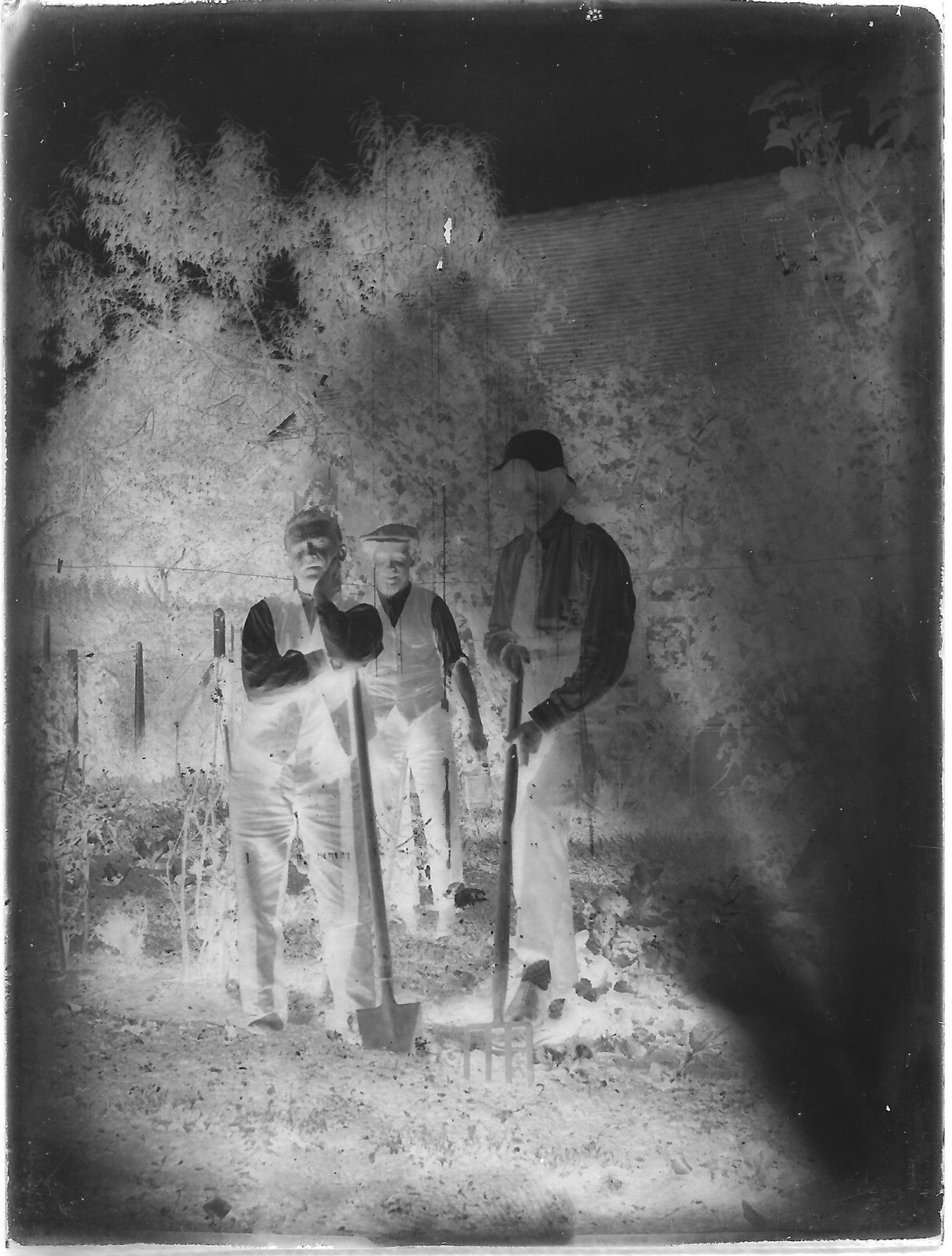 Plaque verre photo ancienne négatif noir et blanc 9x12 cm potager hommes