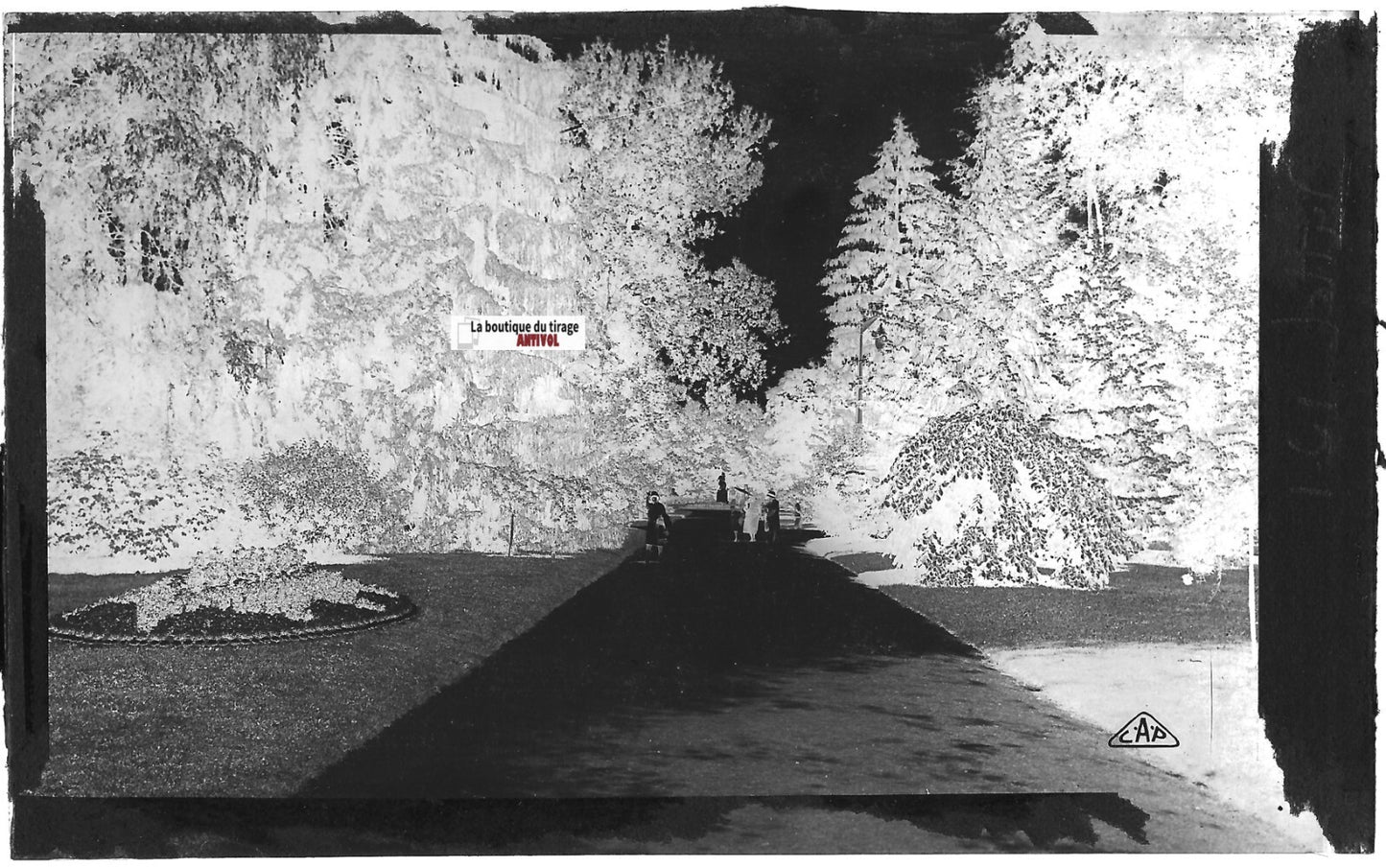 Plaque verre ancienne photo négatif noir & blanc 9x14 cm, Vittel, parc jardin