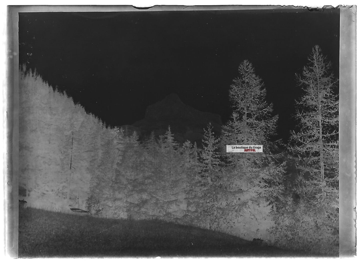Plaque verre photo ancienne négatif noir et blanc 6x9 cm paysage Alpes montagne