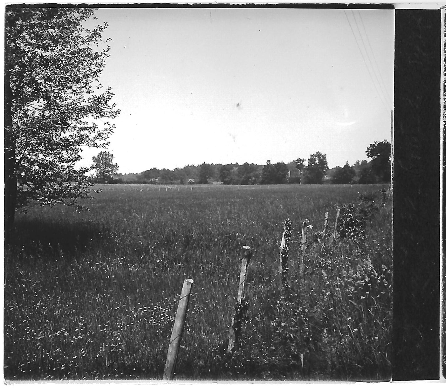 Campagne, paysage, Plaque verre photo stéréo, positif noir & blanc 6x13 cm
