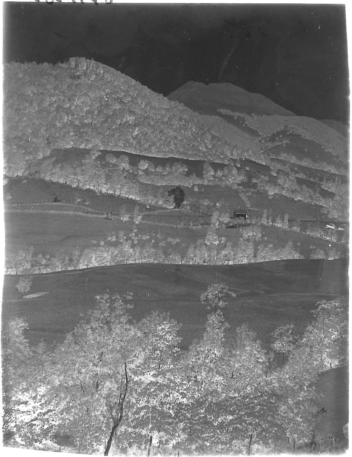 Plaque verre photo ancienne négatif noir et blanc 9x12 cm paysage montagne