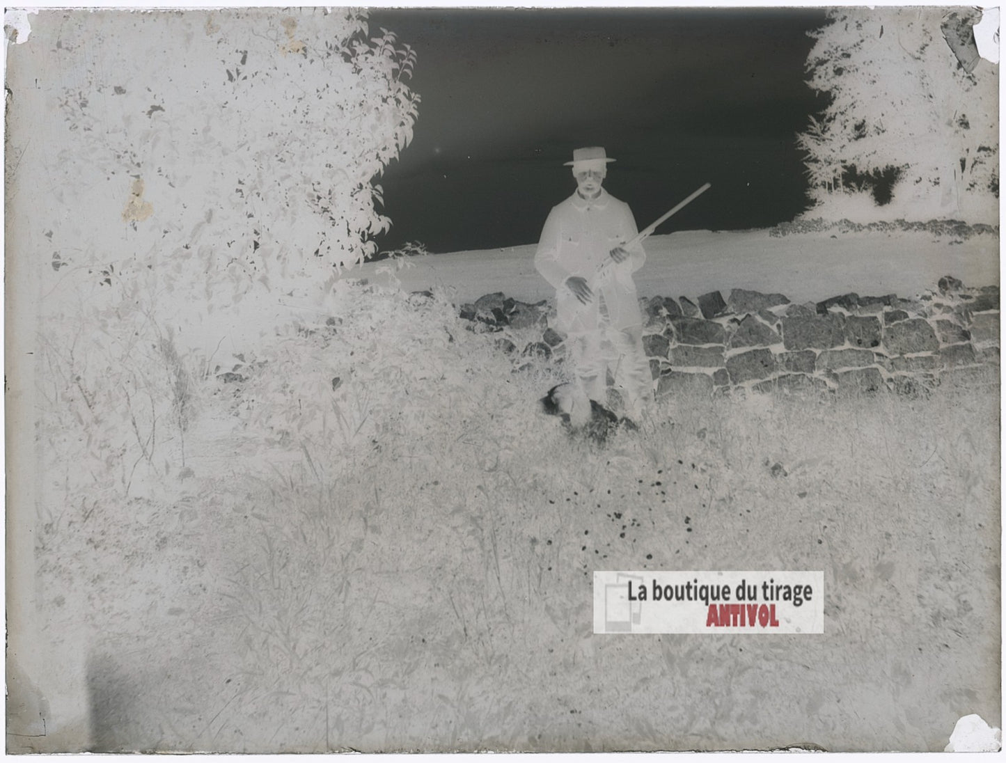 Chasseur posant avec son chien, plaque verre photo ancienne, négatif 9x12 cm