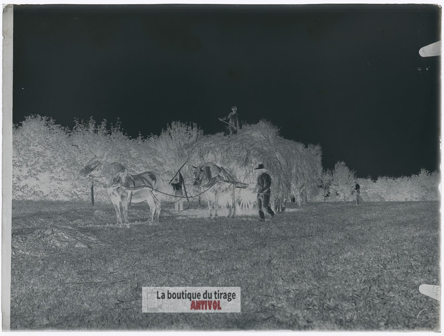 Scène de campagne française, plaque verre, photo ancienne, négatif 9x12 cm