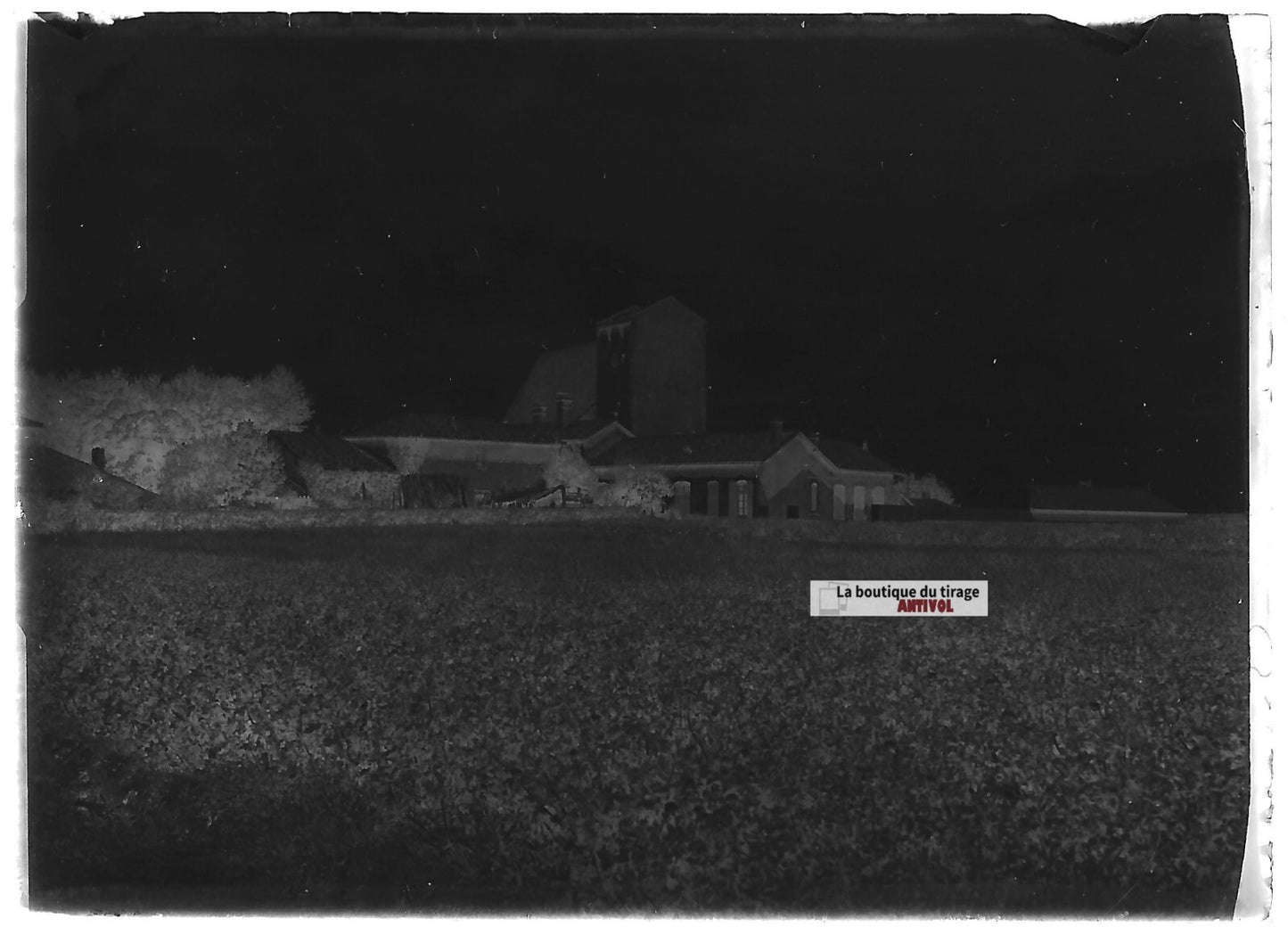 Plaque verre photo ancienne négatif noir et blanc 6x9 cm ferme nature France
