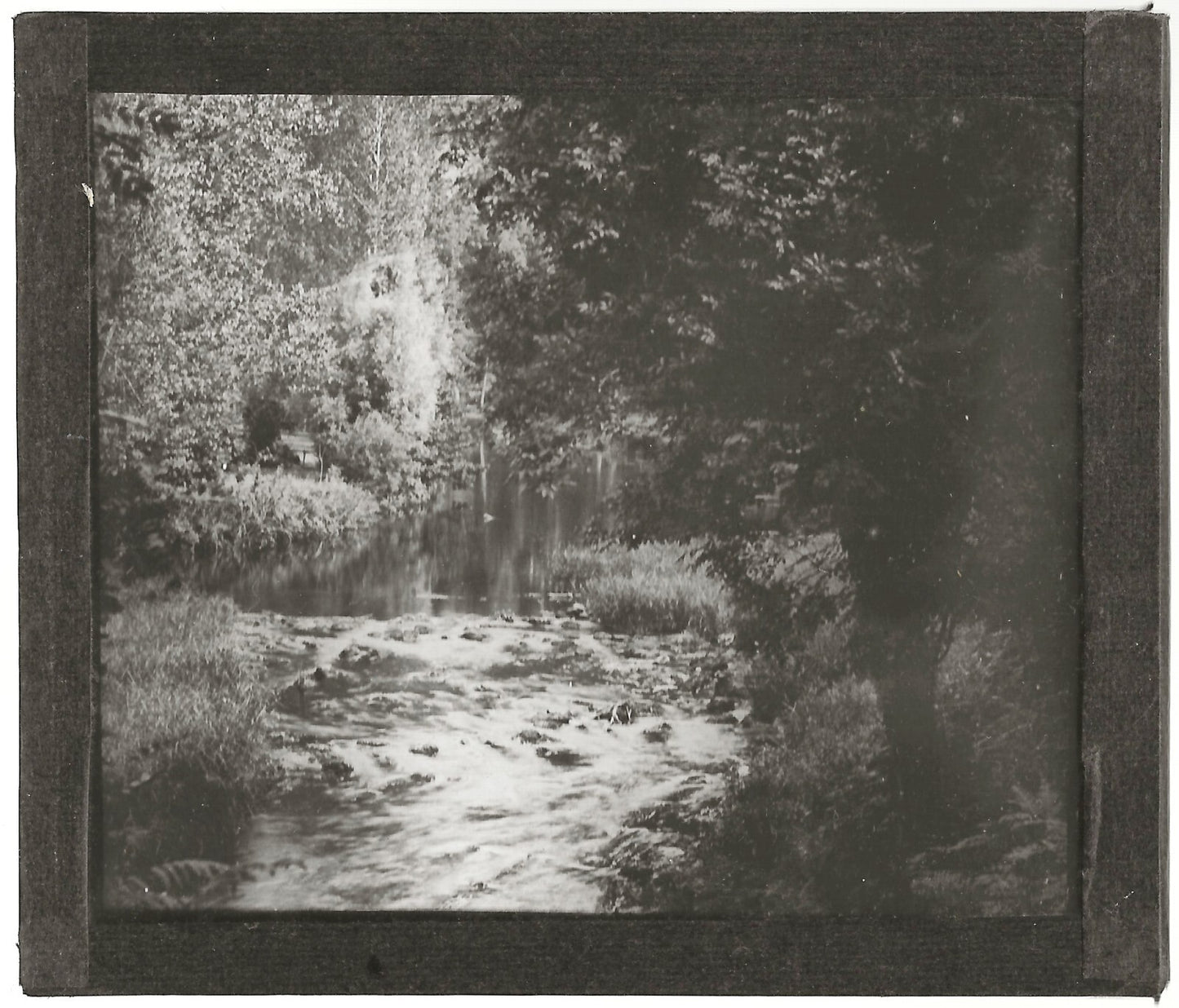 Paysage, nature, rivière, photo ancienne plaque de verre, positif 8,5x10 cm