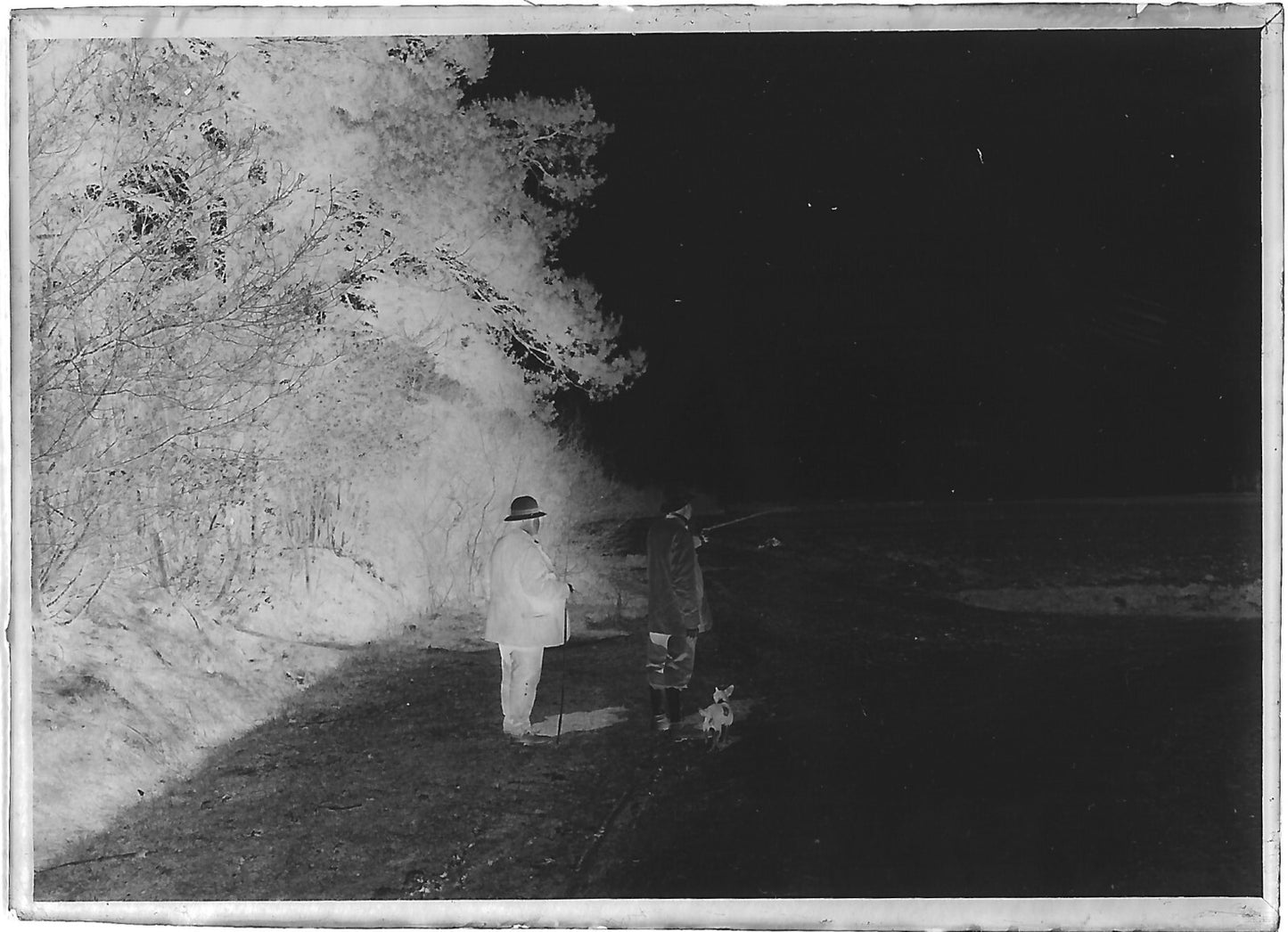 Plaque verre photo ancienne négatif noir et blanc 6x9 cm hommes promenade chien