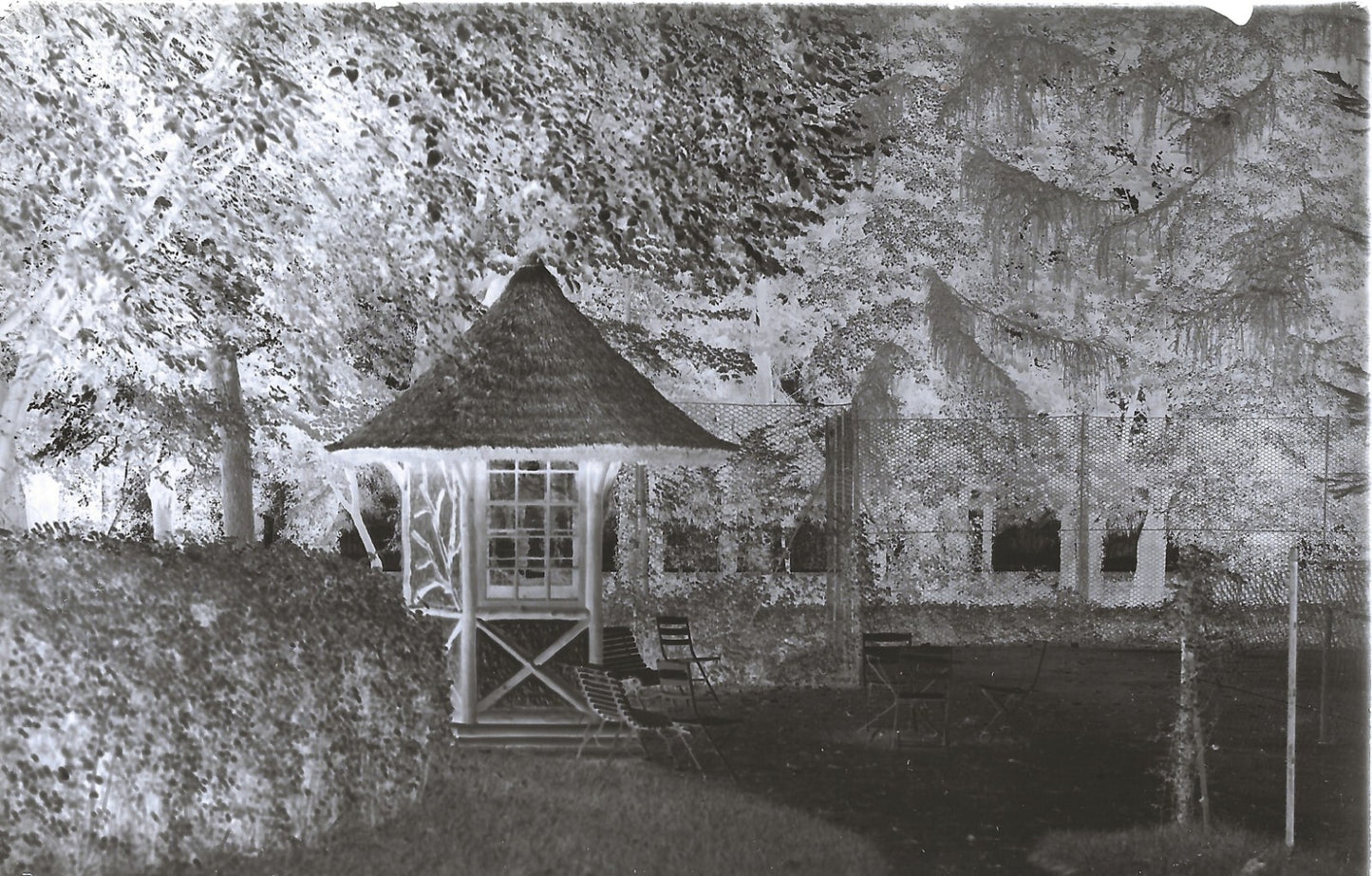 Plaque verre photo ancienne négatif 9x14 cm, noir et blanc château arbre