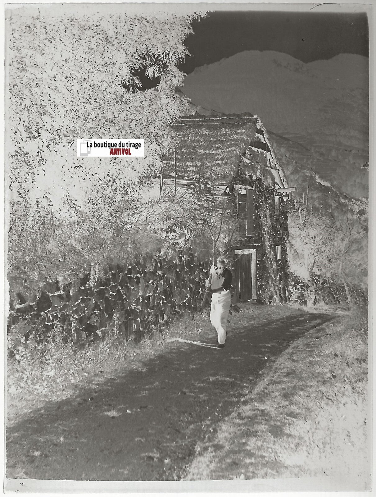 Montagne, homme, Plaque verre photo ancienne, négatif noir & blanc 9x12 cm