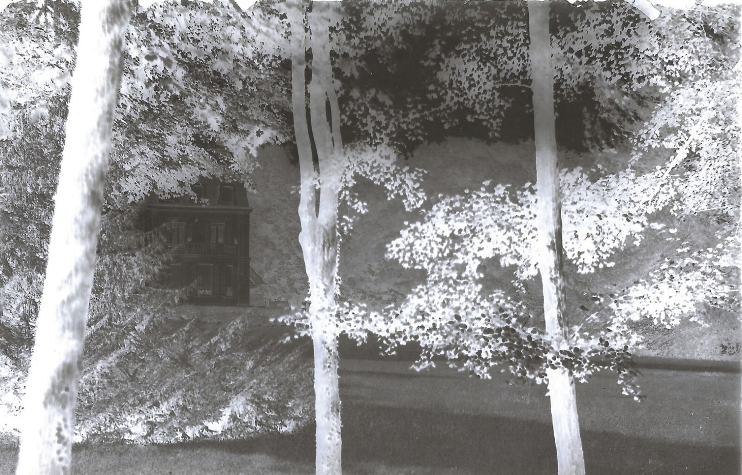 Plaque verre photo ancienne négatif 9x14 cm, noir et blanc château foret vintage