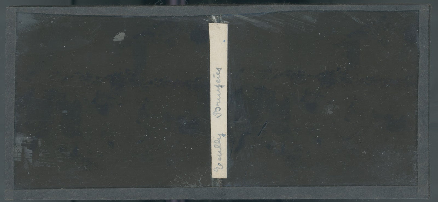 Villa Bruyères Écully, plaque verre, photo ancienne stéréo 6x13 cm Autochrome