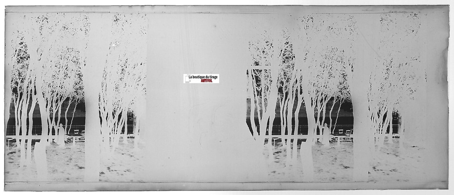 Paysage, forêt, Plaque verre photo stéréo, négatif noir & blanc 4,5x10,7 cm