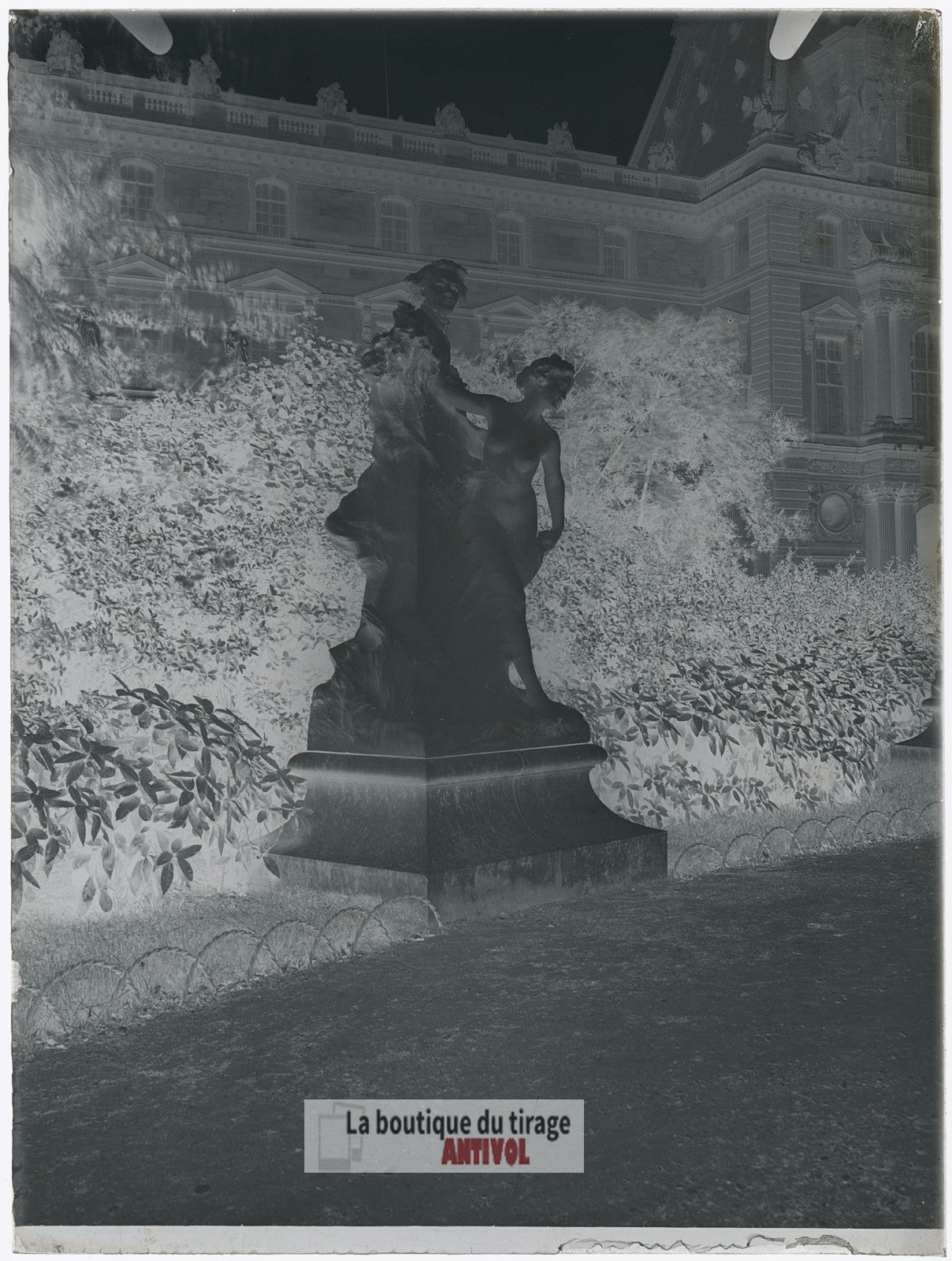 Jardin musée de Cluny, Paris, plaque verre, photo ancienne, négatif 9x12 cm