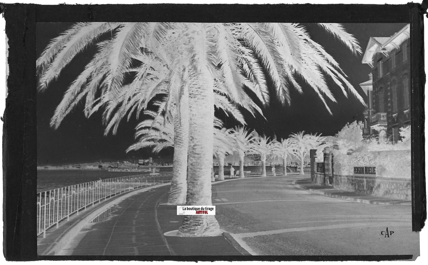 Saint-Raphaël, Félix Martin, Plaque verre photo, négatif noir & blanc 9x14 cm