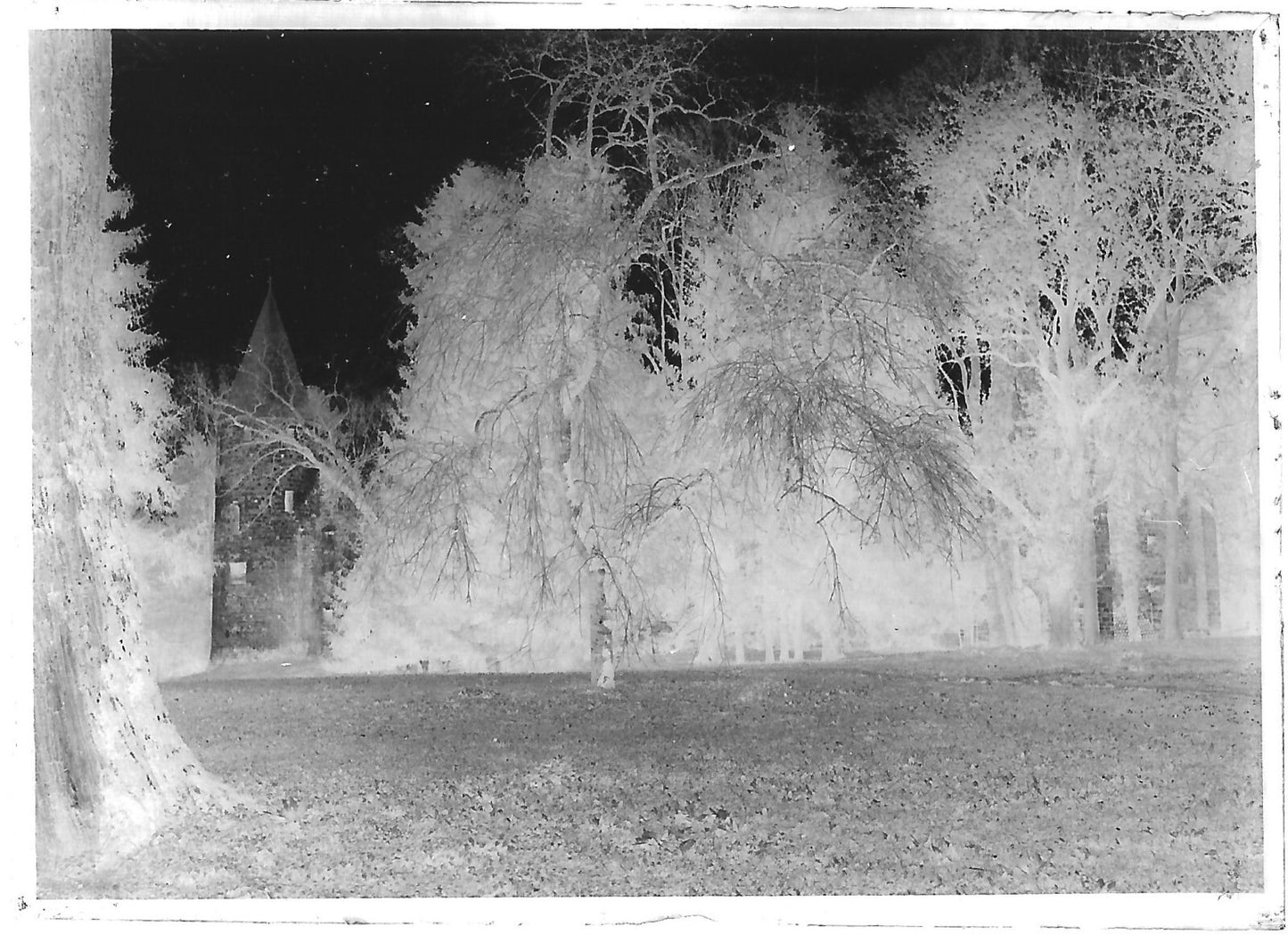 Plaque verre photo ancienne négatif noir et blanc 6x9 cm bois parc château