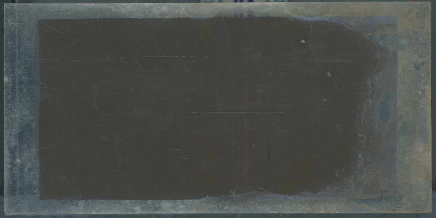 Scène de vie, Longchamp, Paris, plaque verre stéréoscopique, positif 8,5x17 cm