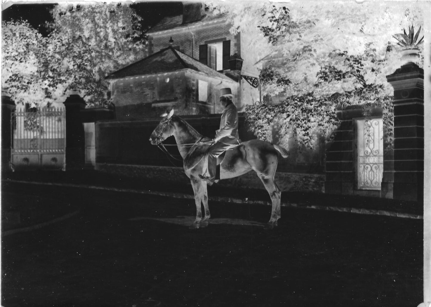 Plaque verre photo ancienne négatif 13x18 cm homme avec chapeau cheval vintage