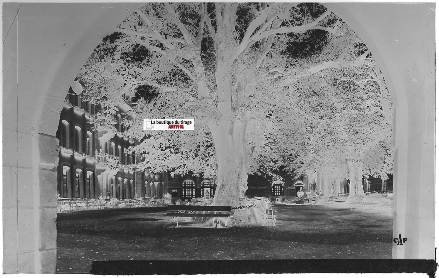 Plaque verre photo, négatif noir & blanc 9x14 cm, Mont Sainte-Odile, sanctuaire