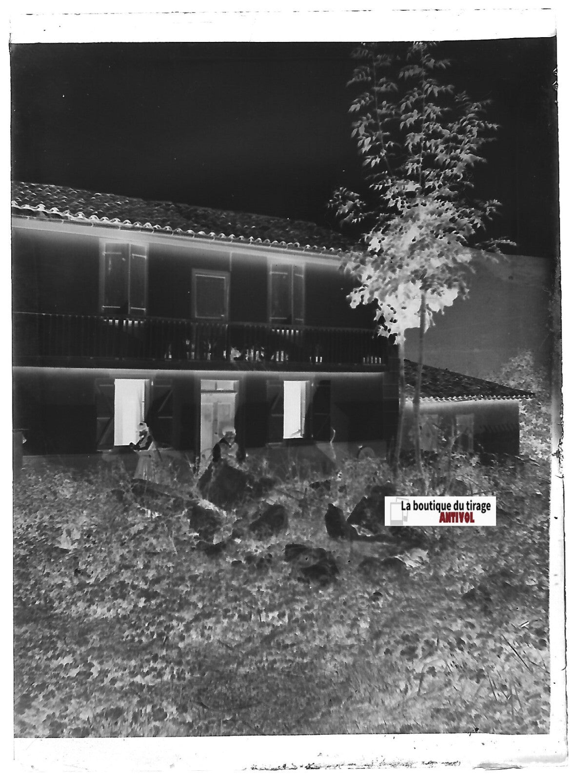 Maison, montagne, Plaque verre photo ancienne, négatif noir & blanc 6x9 cm