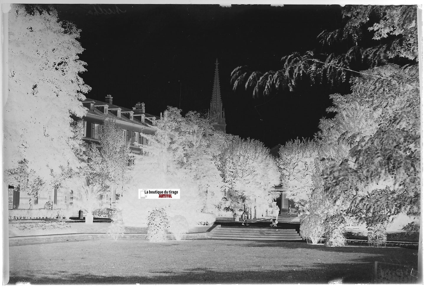 Mulhouse parc enfant, Plaque verre photo ancienne, négatif noir & blanc 10x15 cm