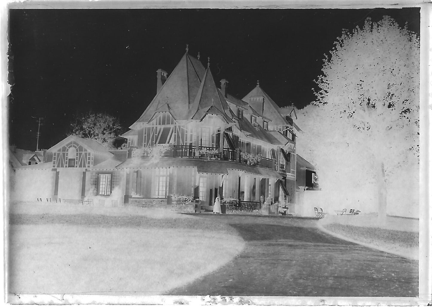 Plaque verre photo ancienne négatif noir et blanc 6x9 cm parc château France