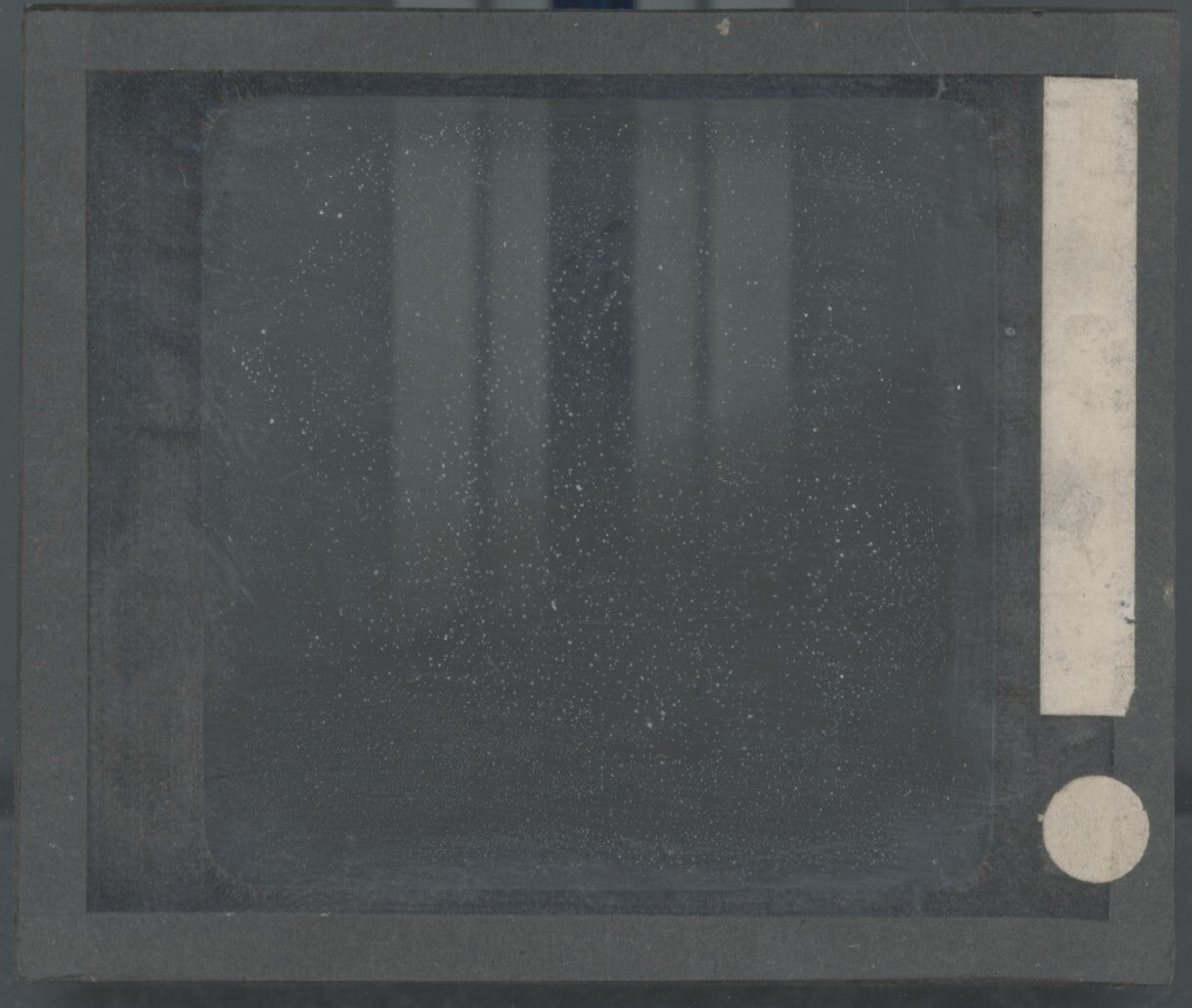 Les Praz de Chamonix, photo plaque de verre, noir & blanc, positif 8,5x10 cm