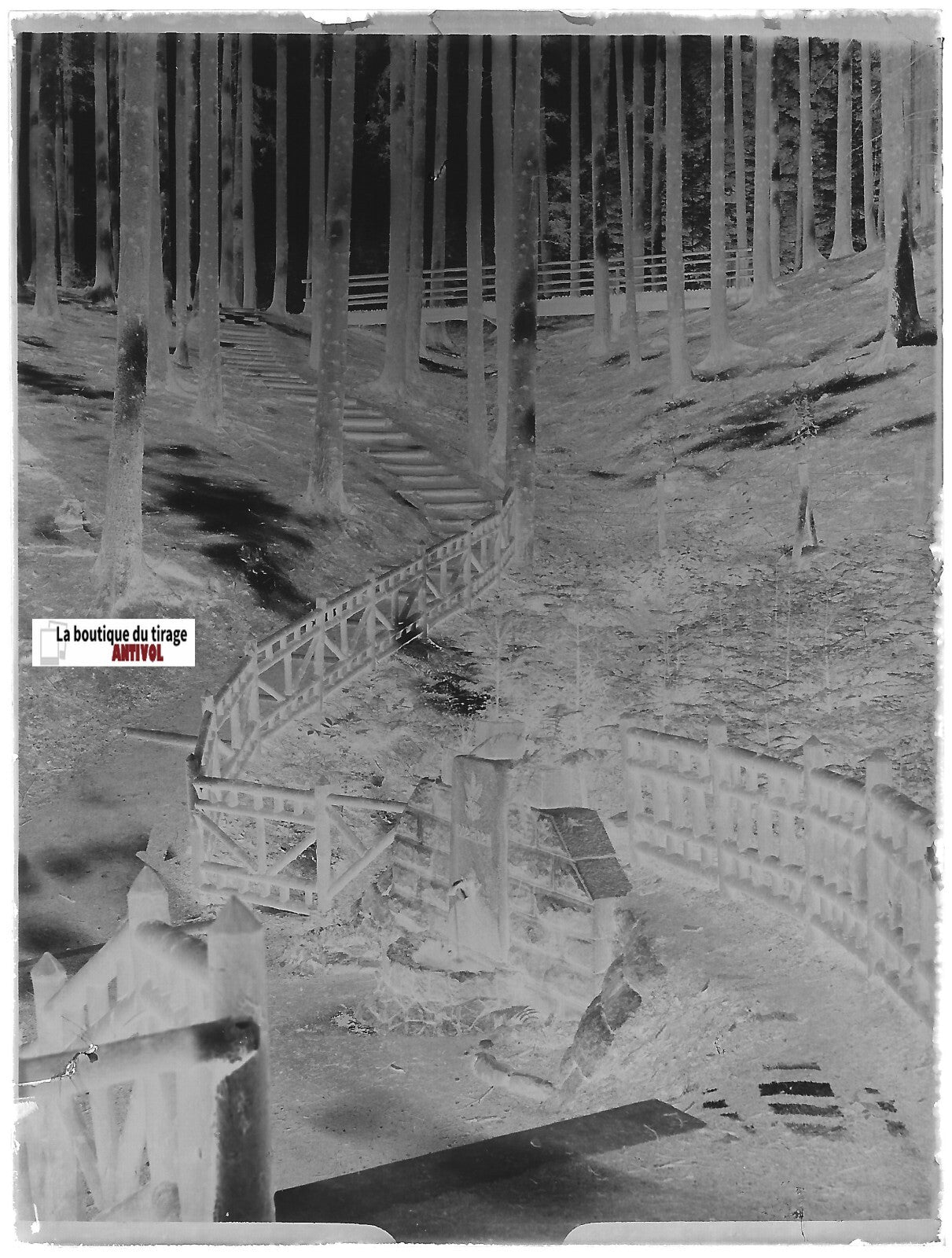 Fontaine, 1902-1927, Plaque verre photo ancienne, négatif noir & blanc 9x12 cm