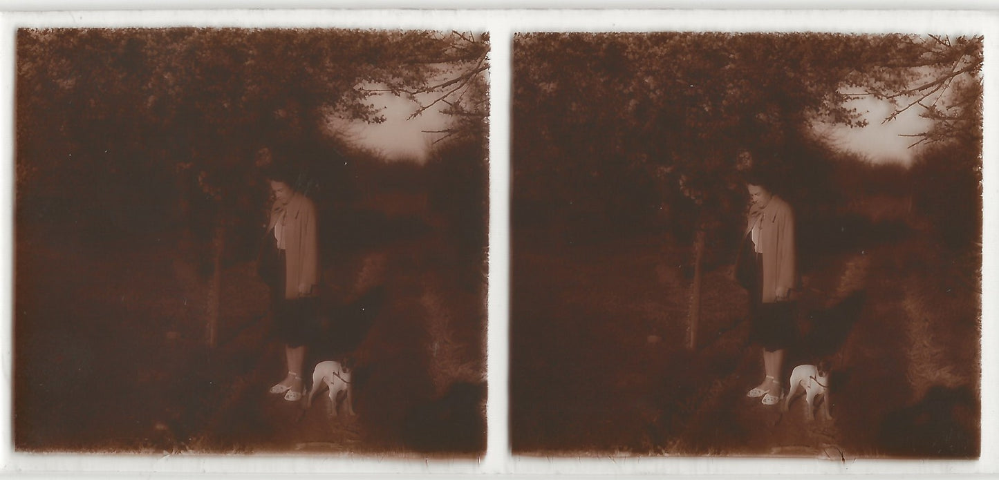 Dame, chien, France, Plaque verre photo stéréo, positif noir & blanc 6x13 cm