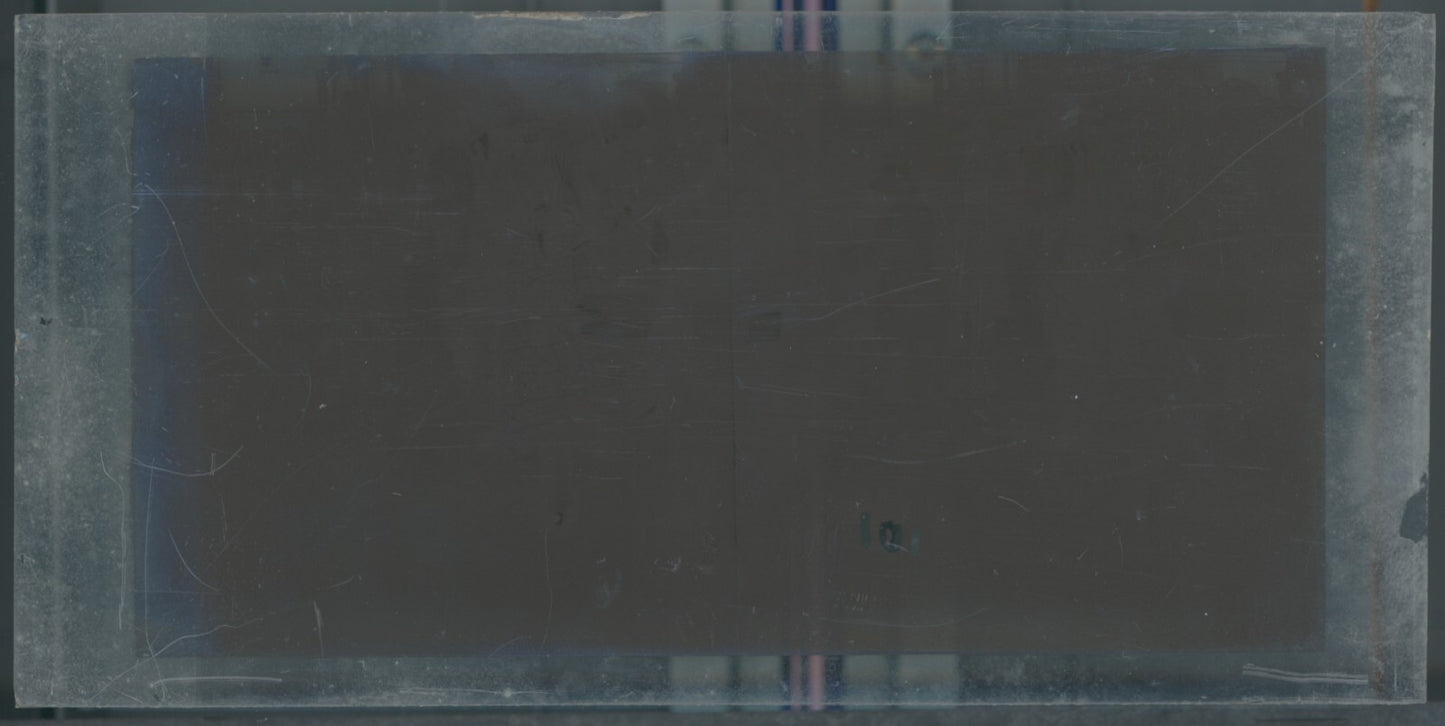 Scène de vie, Longchamp, Paris, plaque verre stéréoscopique, positif 8,5x17 cm