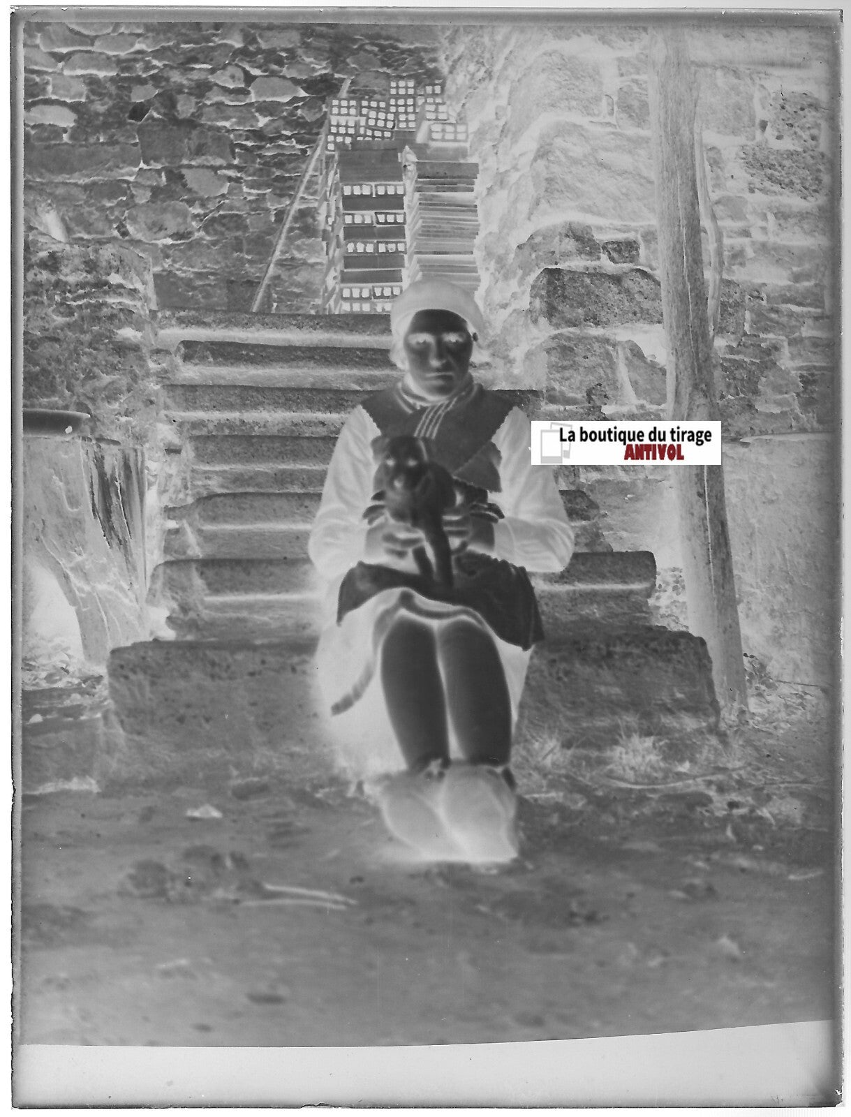 Femme, chiot, chien, Plaque verre photo ancienne, négatif noir & blanc 9x12 cm
