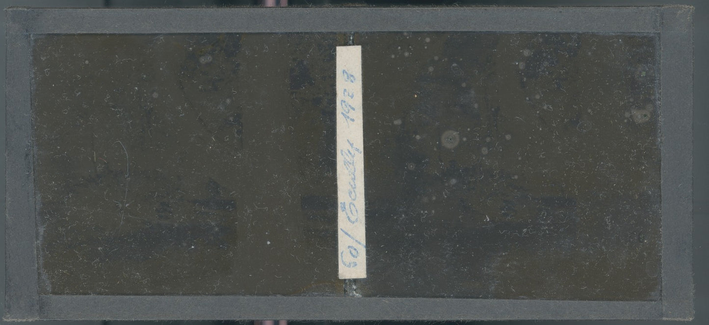 Parc, personnage, Écully, plaque verre, photo ancienne stéréo 6x13 cm Autochrome