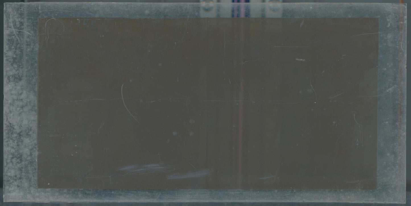 Scène de vie, Longchamp, Paris, plaque verre stéréoscopique, positif 8,5x17 cm