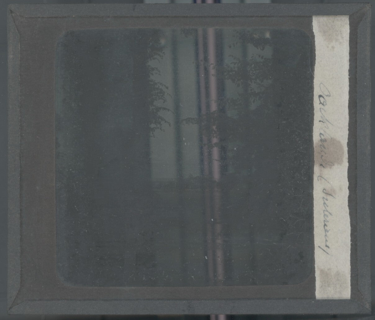 Paysage, campagne, nature, photo ancienne plaque de verre, positif 8,5x10 cm