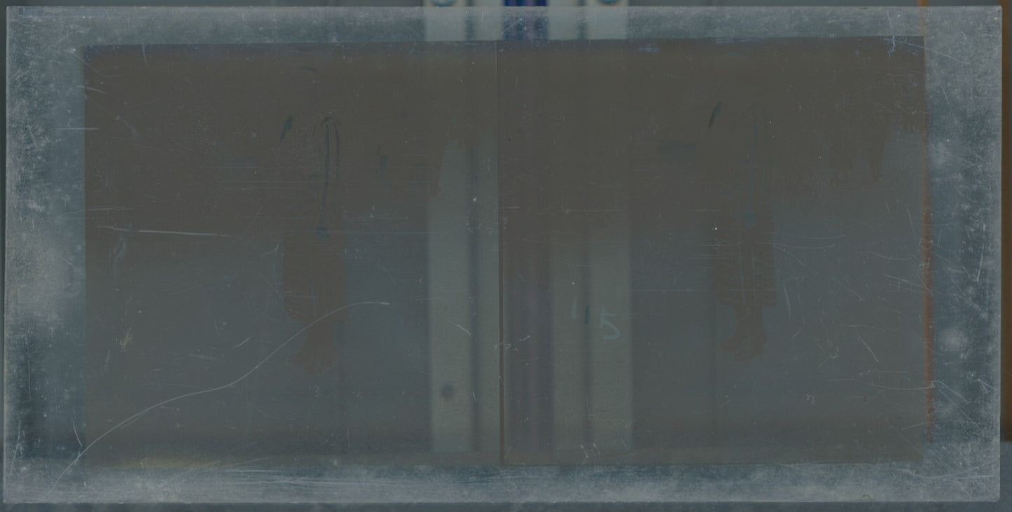 Hippodrome de Longchamp, Paris, stéréoscopie plaque verre, positif 8,5x17 cm