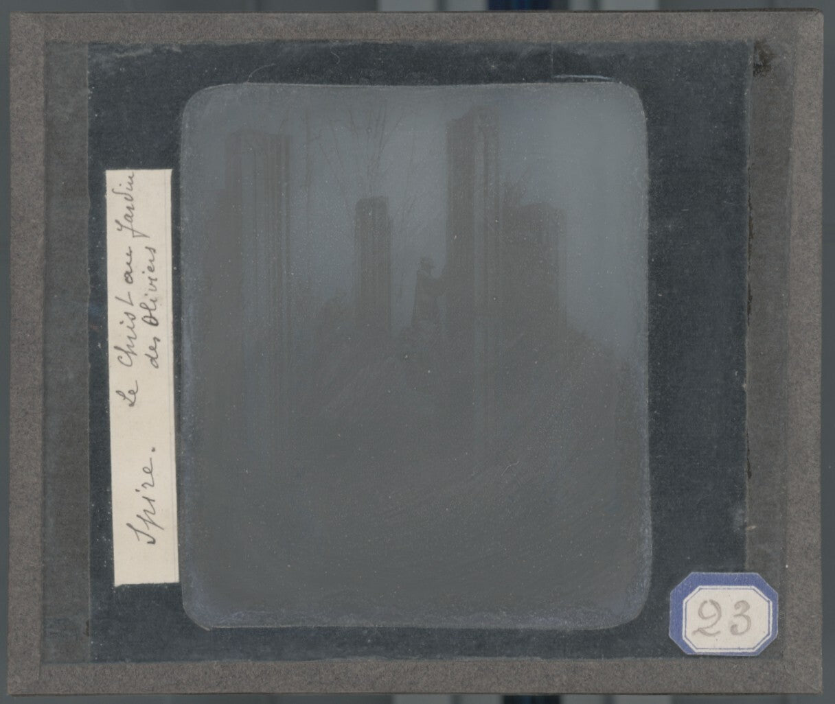 Jardin des Oliviers, Spire, Allemagne, photo plaque verre, positif 8,5x10 cm