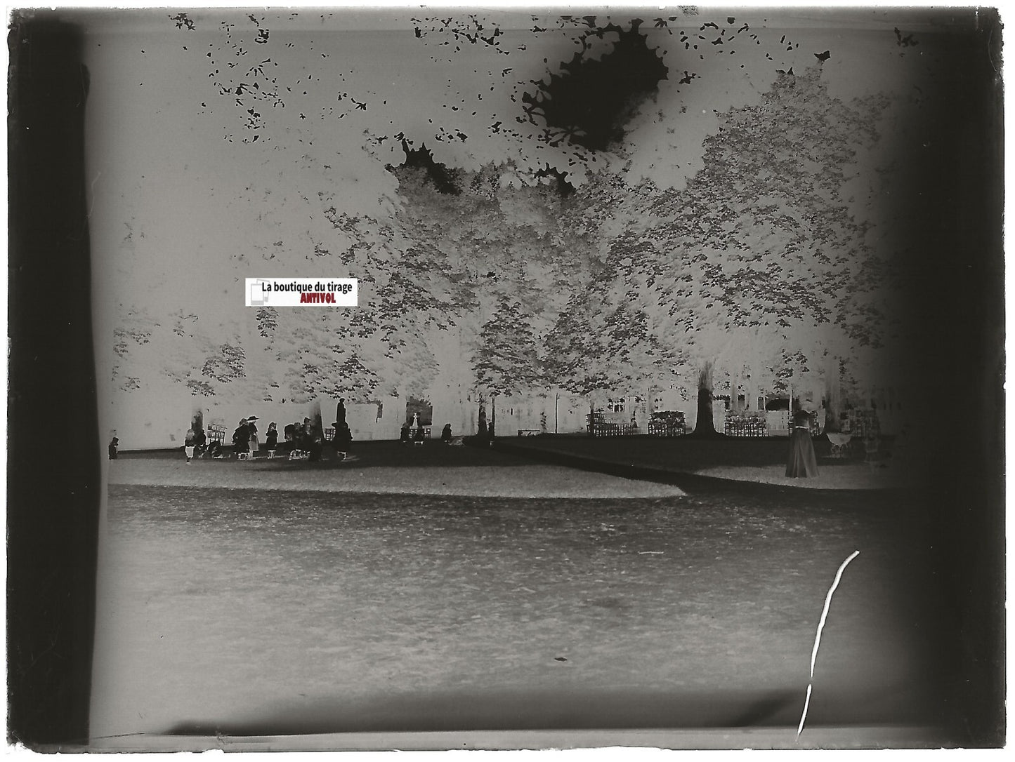 Parc, jardin, enfants, Plaque verre photo ancienne, négatif noir & blanc 9x12 cm