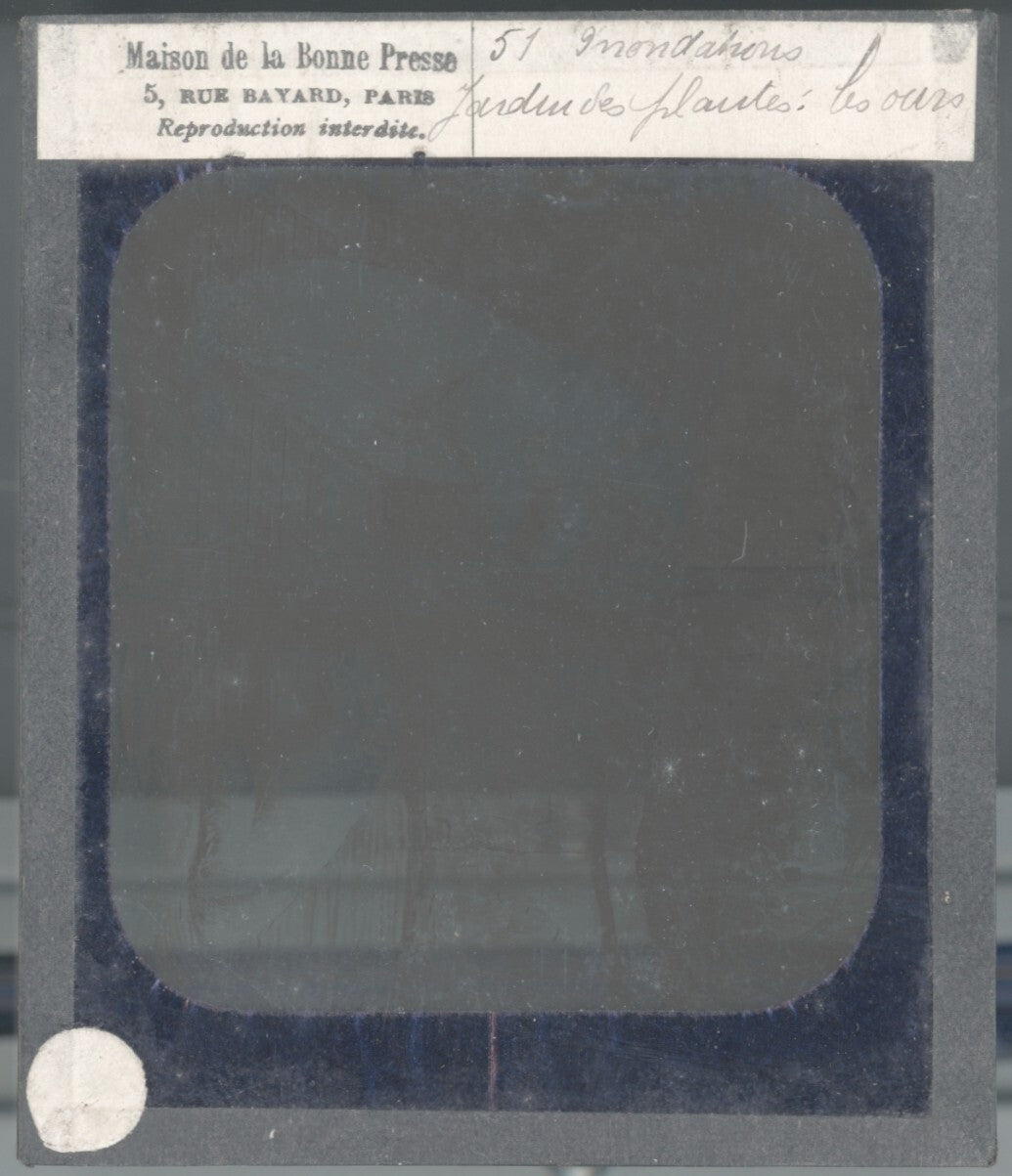Jardin des plantes, inondations Paris, dessin plaque verre, positif 8,5x10 cm