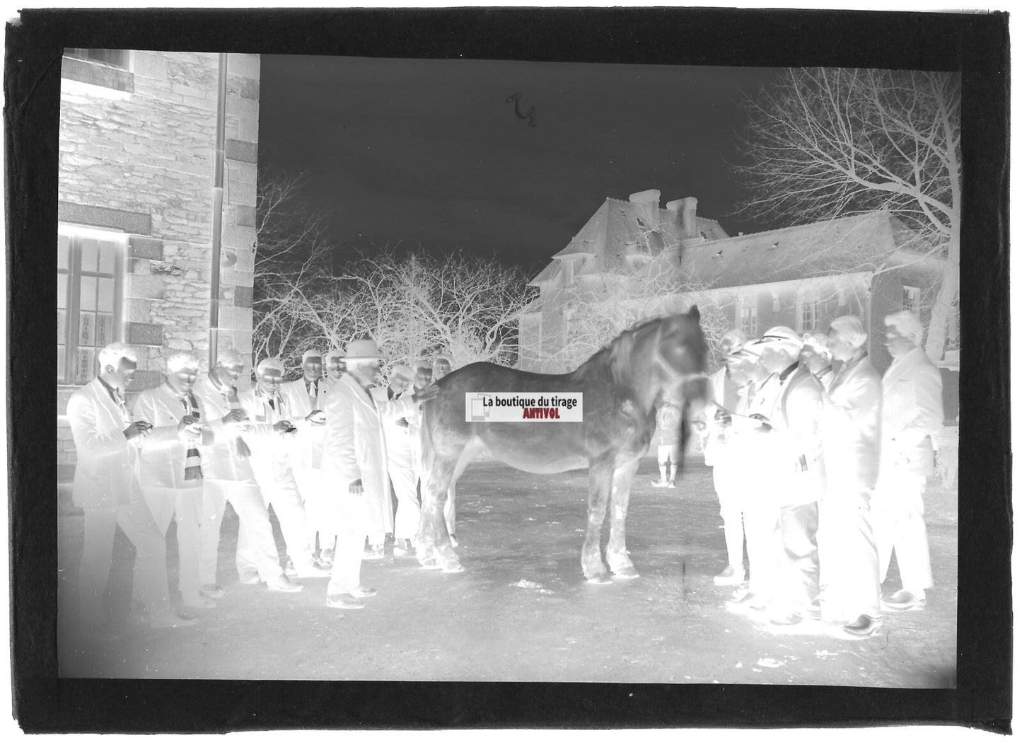 Plaque verre photo ancienne négatif noir et blanc 13x18 cm école d'agriculture