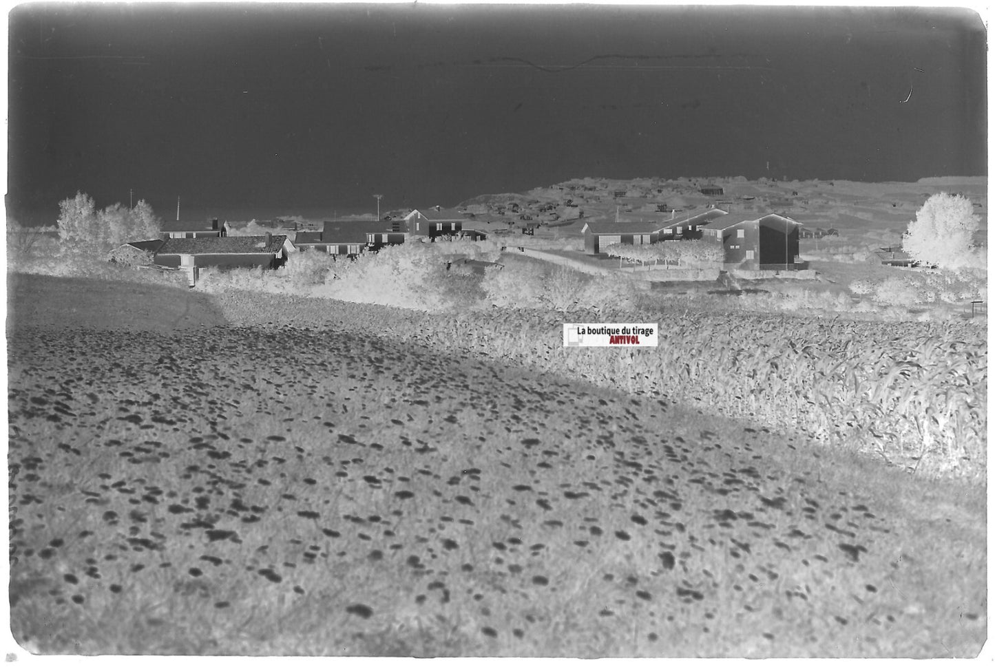 Bidart, paysage, Plaque verre photo ancienne, négatif noir & blanc 10x15 cm