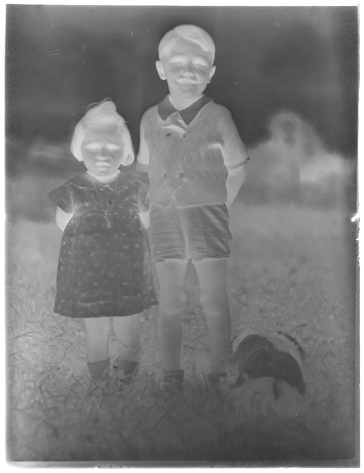 Plaque verre photo ancienne négatif noir et blanc 9x12 cm fille garçon vintage
