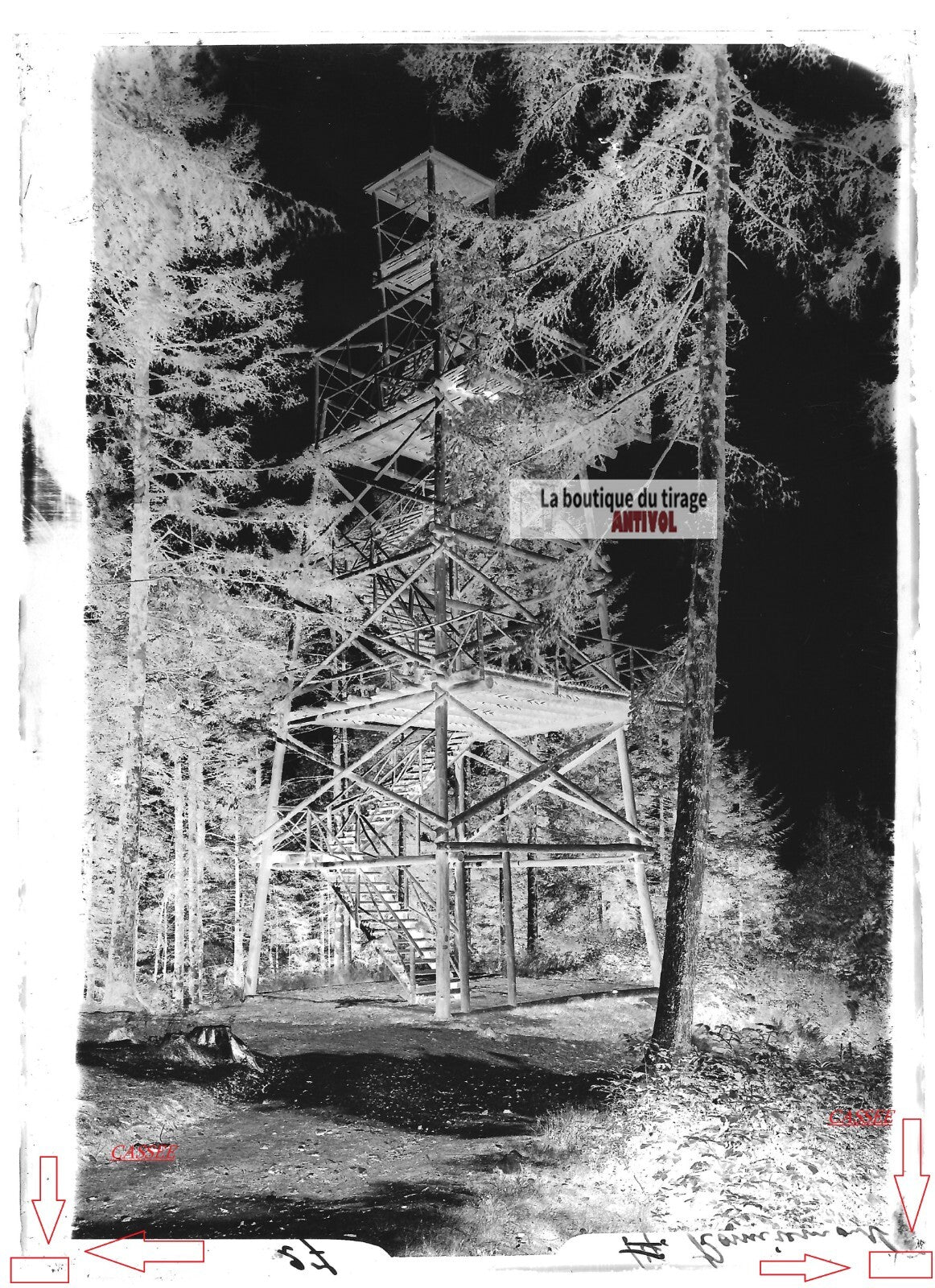 Plaque verre photo ancienne négatif noir et blanc 13x18 cm Remiremont forêt