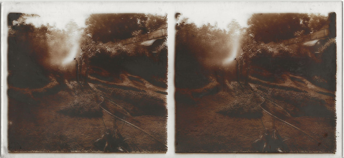 Arrosage, jardin, Plaque verre photo stéréo, positif noir & blanc 6x13 cm
